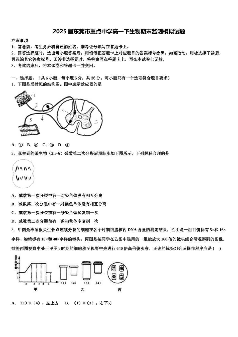 2025届东莞市重点中学高一下生物期末监测模拟试题含解析_第1页