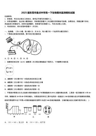 2025届东莞市重点中学高一下生物期末监测模拟试题含解析