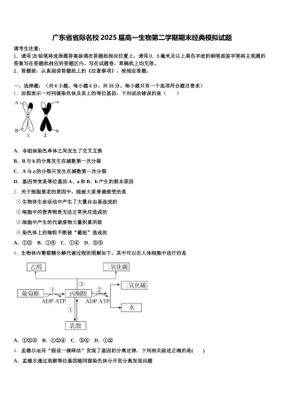 广东省省际名校2025届高一生物第二学期期末经典模拟试题含解析