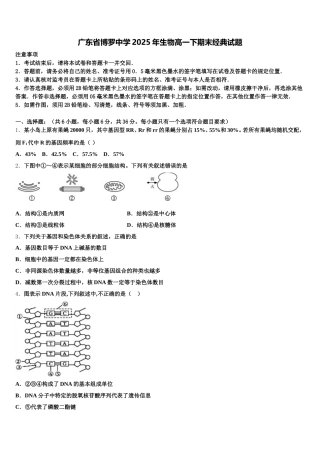 广东省博罗中学2025年生物高一下期末经典试题含解析