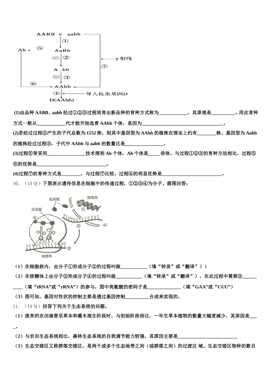广东汕头潮阳区2025年生物高一下期末综合测试模拟试题含解析_第3页