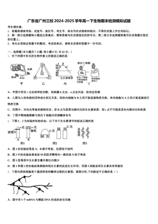 广东省广州三校2024-2025学年高一下生物期末检测模拟试题含解析