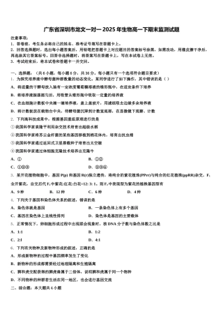 广东省深圳市龙文一对一2025年生物高一下期末监测试题含解析