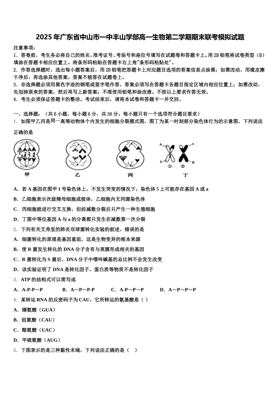 2025年广东省中山市一中丰山学部高一生物第二学期期末联考模拟试题含解析_第1页