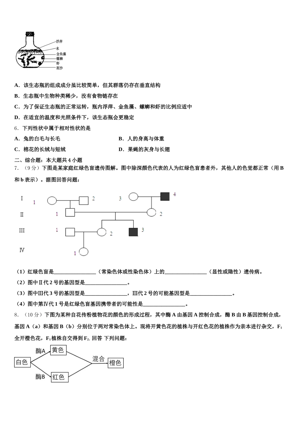 广东省韶关市新丰县第一中学2024-2025学年生物高一下期末质量检测试题含解析_第2页