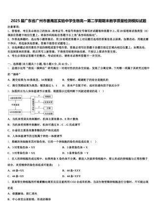 2025届广东省广州市番禺区实验中学生物高一第二学期期末教学质量检测模拟试题含解析