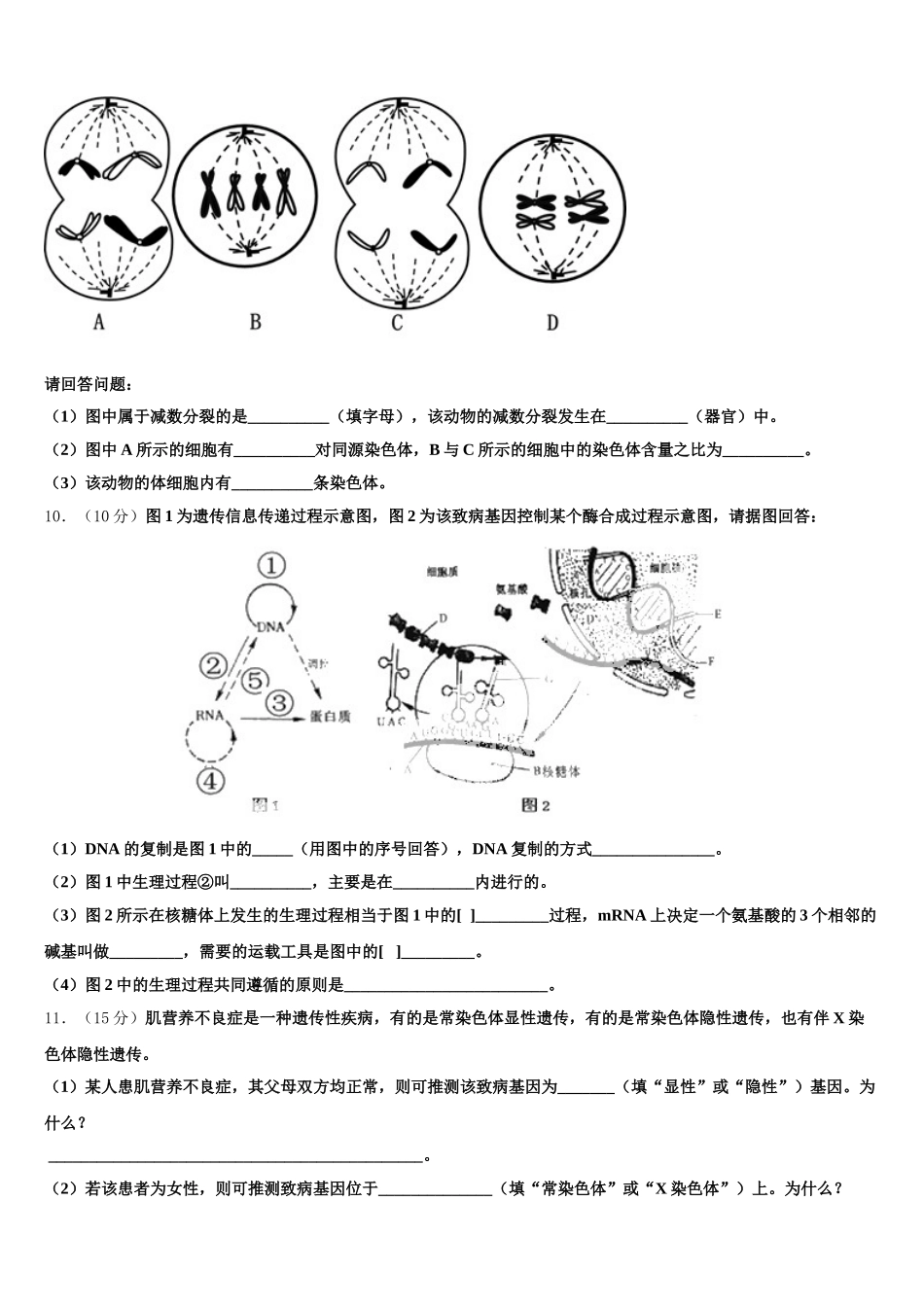 2025届广东省广州市广东二师番禺附中生物高一第二学期期末联考模拟试题含解析_第3页