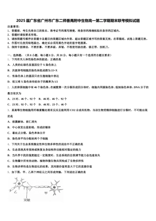 2025届广东省广州市广东二师番禺附中生物高一第二学期期末联考模拟试题含解析