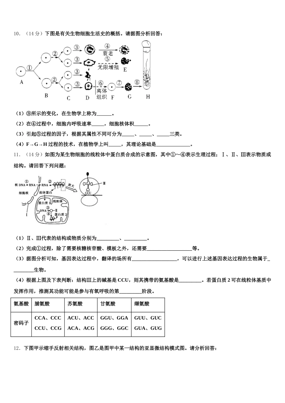 广东省广州市铁一中学、深圳外国语学校、广州大学附中2025年生物高一下期末达标测试试题含解析_第3页