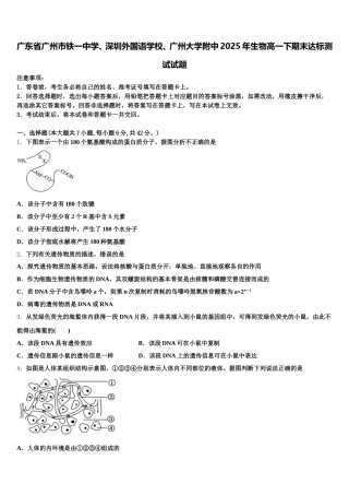 广东省广州市铁一中学、深圳外国语学校、广州大学附中2025年生物高一下期末达标测试试题含解析