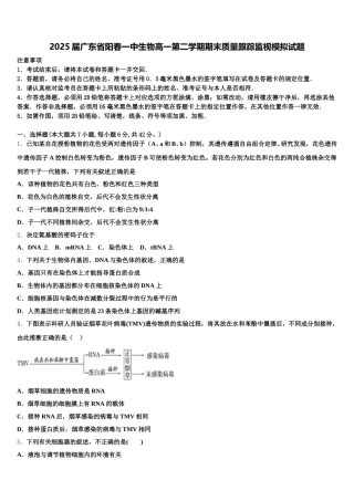 2025届广东省阳春一中生物高一第二学期期末质量跟踪监视模拟试题含解析