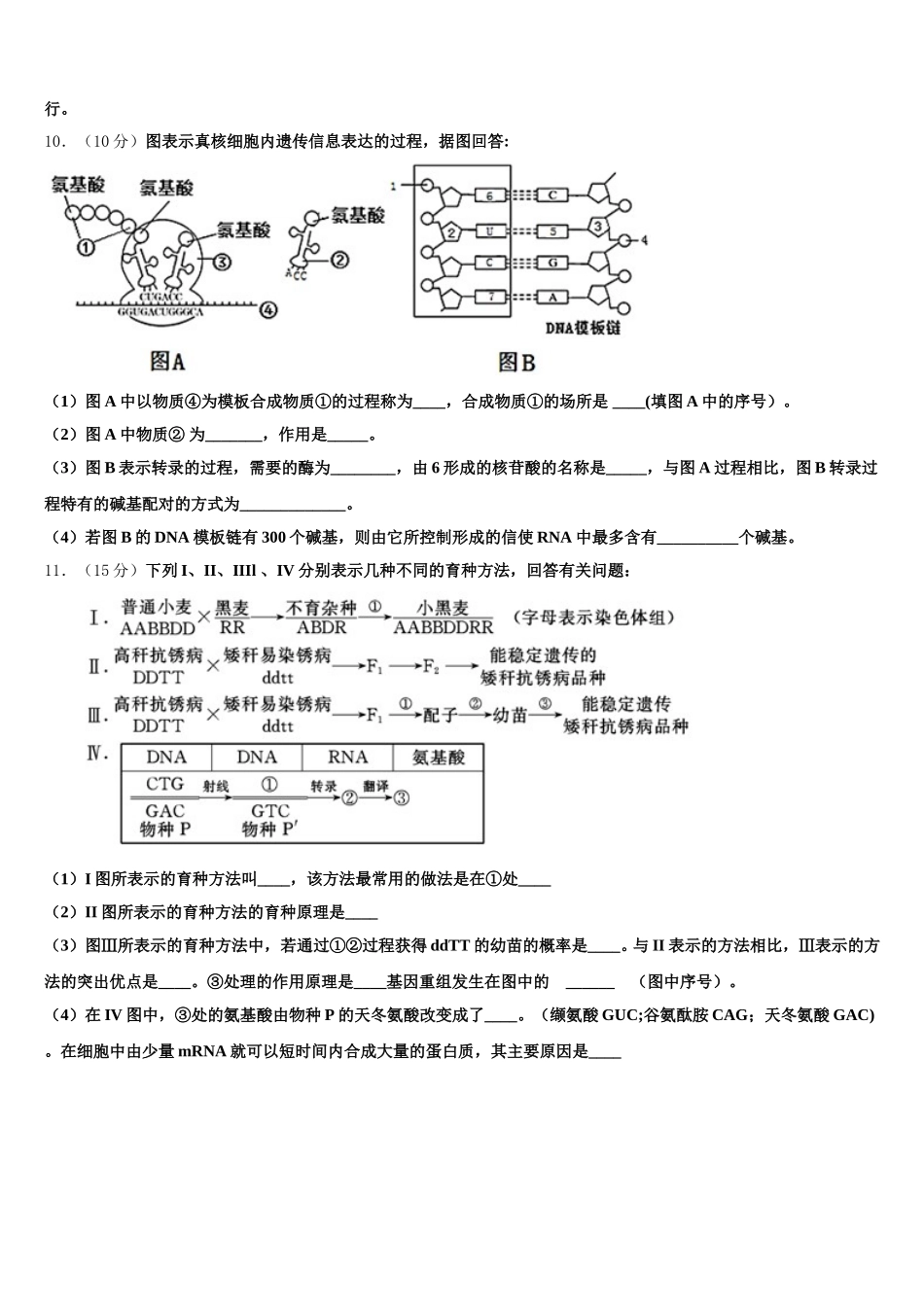 2025届广东省深圳市深圳外国语学校高一下生物期末质量检测试题含解析_第3页