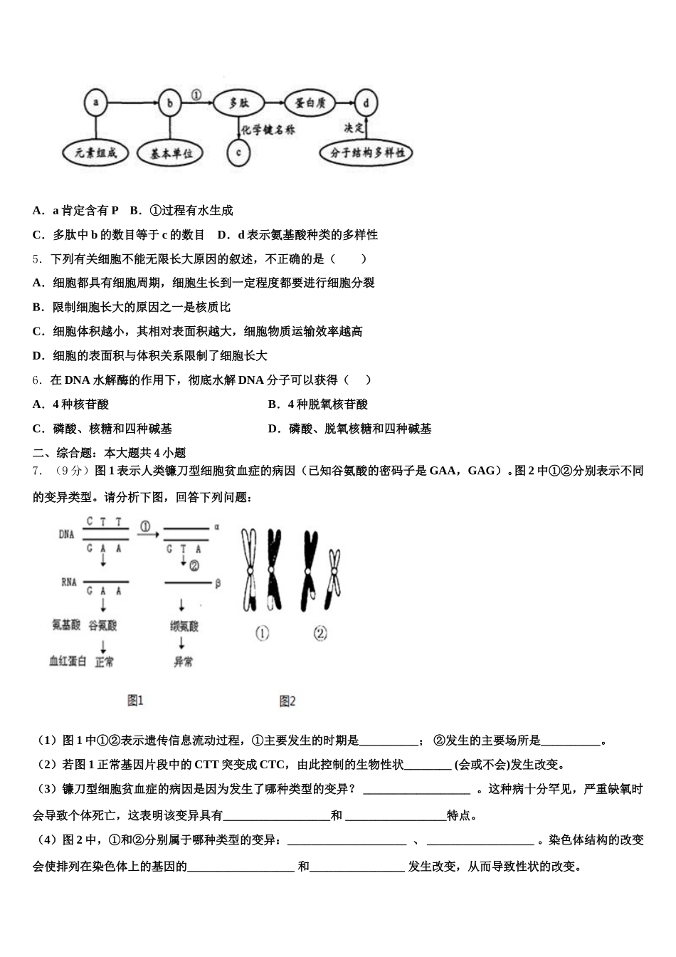 2024-2025学年广东省汕头市濠江区金山中学生物高一下期末联考试题含解析_第2页