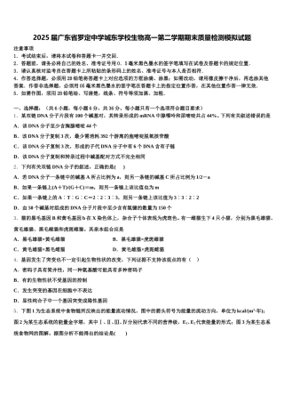 2025届广东省罗定中学城东学校生物高一第二学期期末质量检测模拟试题含解析