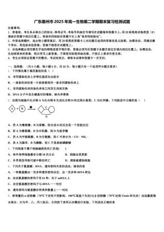 广东惠州市2025年高一生物第二学期期末复习检测试题含解析