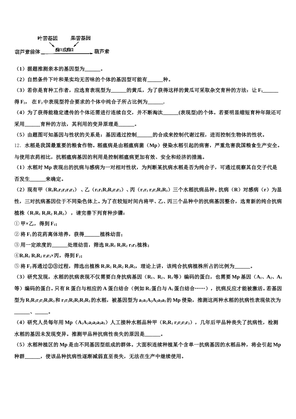 2025年广东第二师范学院番禺附中生物高一第二学期期末监测试题含解析_第3页