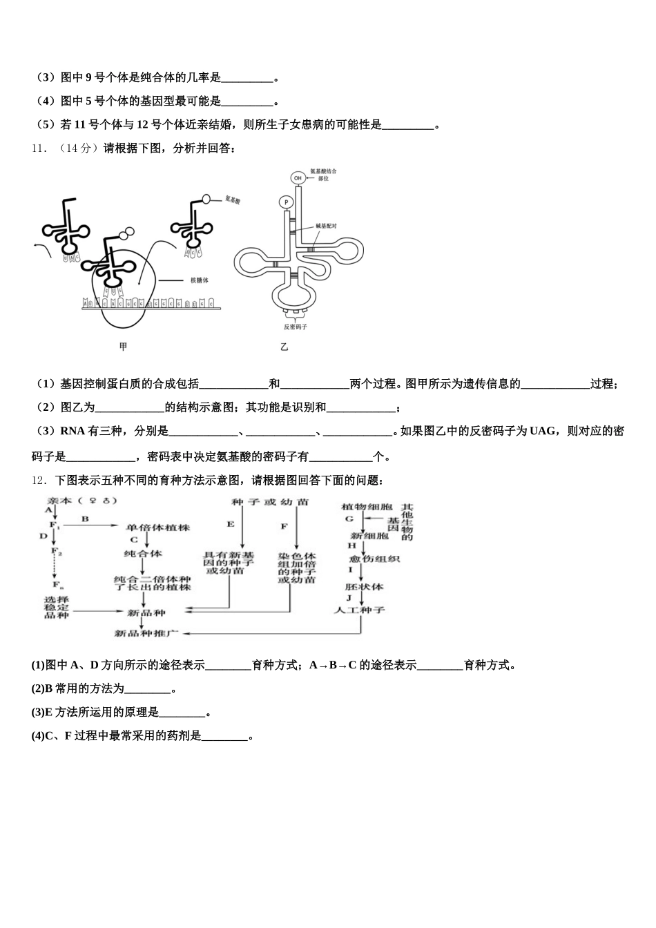 2025届广东省东莞市达标名校生物高一第二学期期末统考模拟试题含解析_第3页