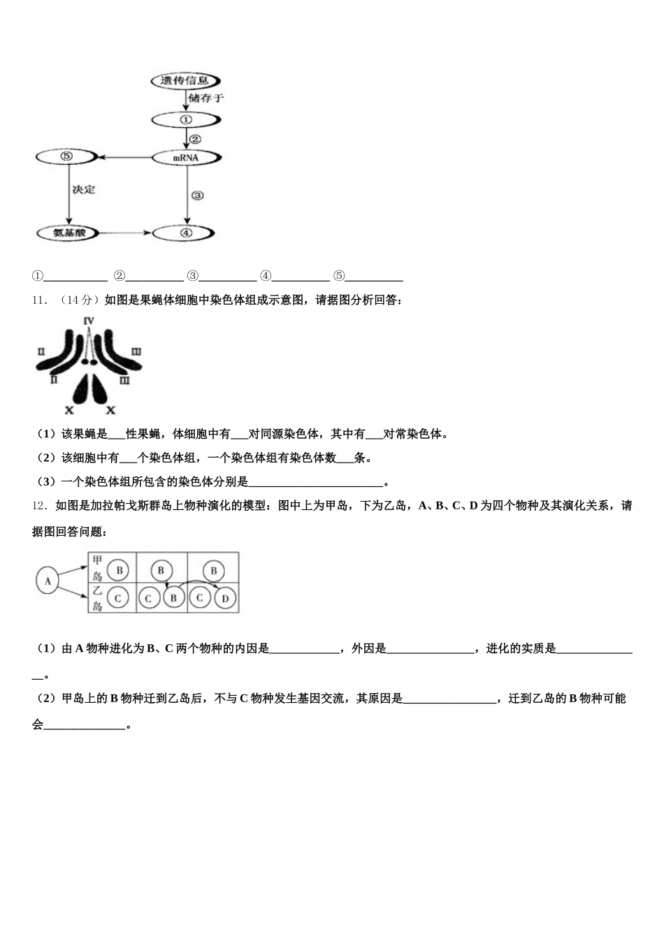 2024-2025学年广东省深圳市福田区福田中学生物高一下期末经典试题含解析_第3页