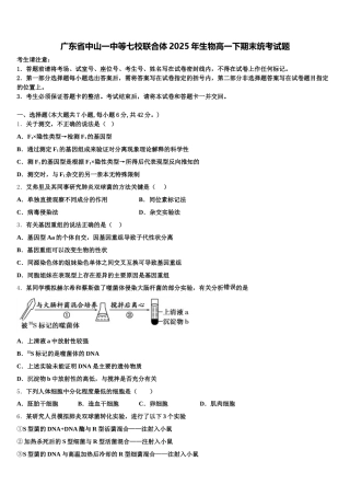 广东省中山一中等七校联合体2025年生物高一下期末统考试题含解析