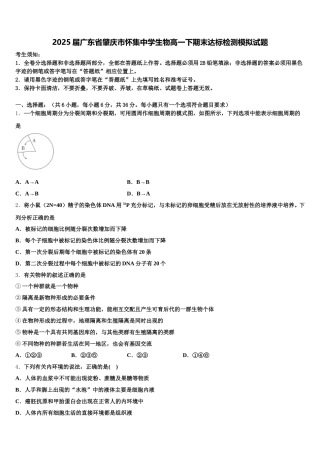 2025届广东省肇庆市怀集中学生物高一下期末达标检测模拟试题含解析