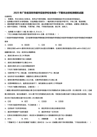 2025年广东省深圳市耀华实验学校生物高一下期末达标检测模拟试题含解析