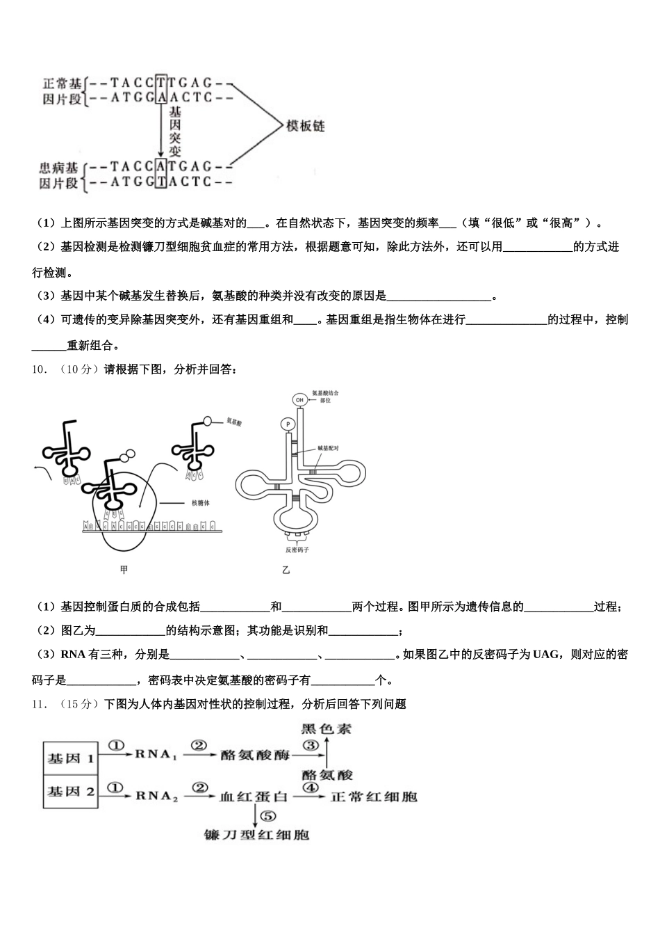 2025届广东省广州荔湾区真光中学高一下生物期末统考模拟试题含解析_第3页