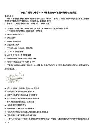 广东省广州第七中学2025届生物高一下期末达标检测试题含解析