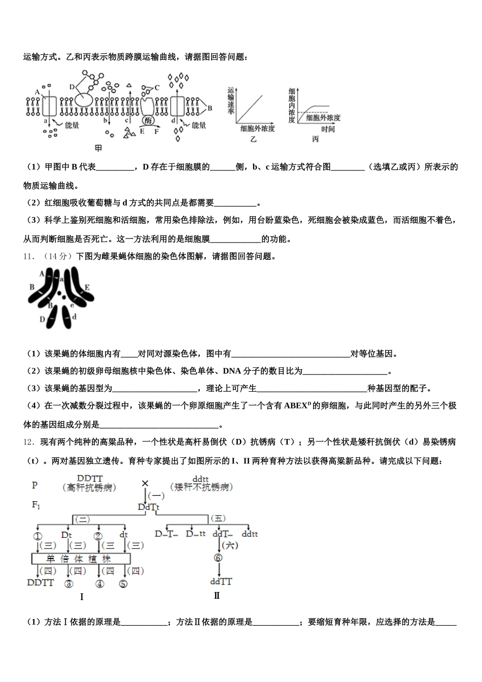 广东梅州第一中学2024-2025学年生物高一下期末学业水平测试模拟试题含解析_第3页