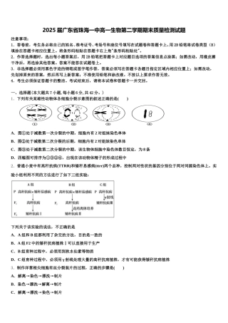 2025届广东省珠海一中高一生物第二学期期末质量检测试题含解析