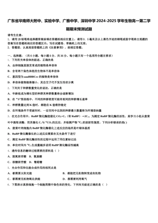 广东省华南师大附中、实验中学、广雅中学、深圳中学2024-2025学年生物高一第二学期期末预测试题含解析