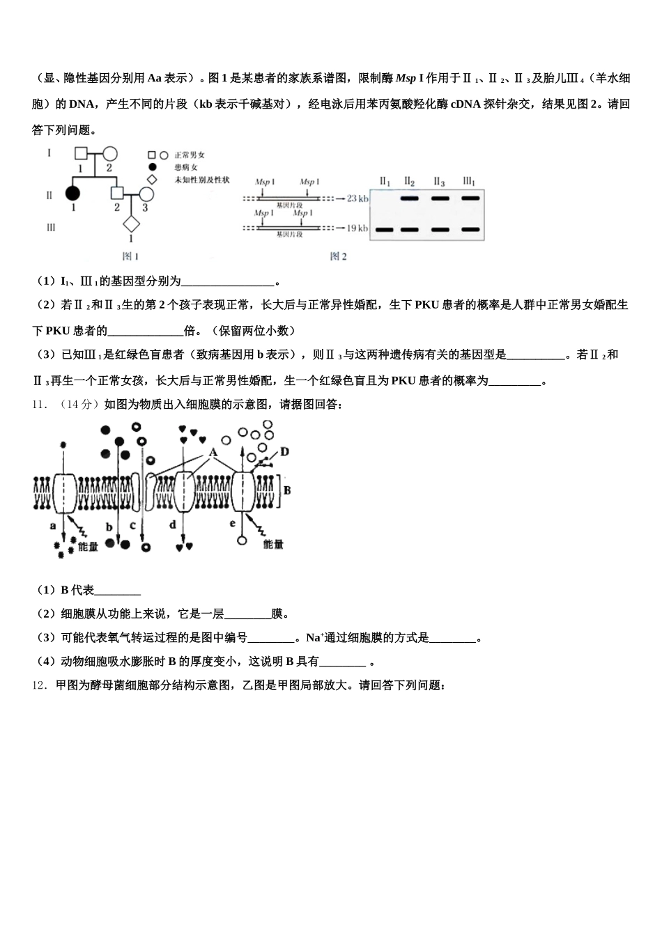 广东省揭阳市惠来一中2024-2025学年生物高一下期末联考试题含解析_第3页