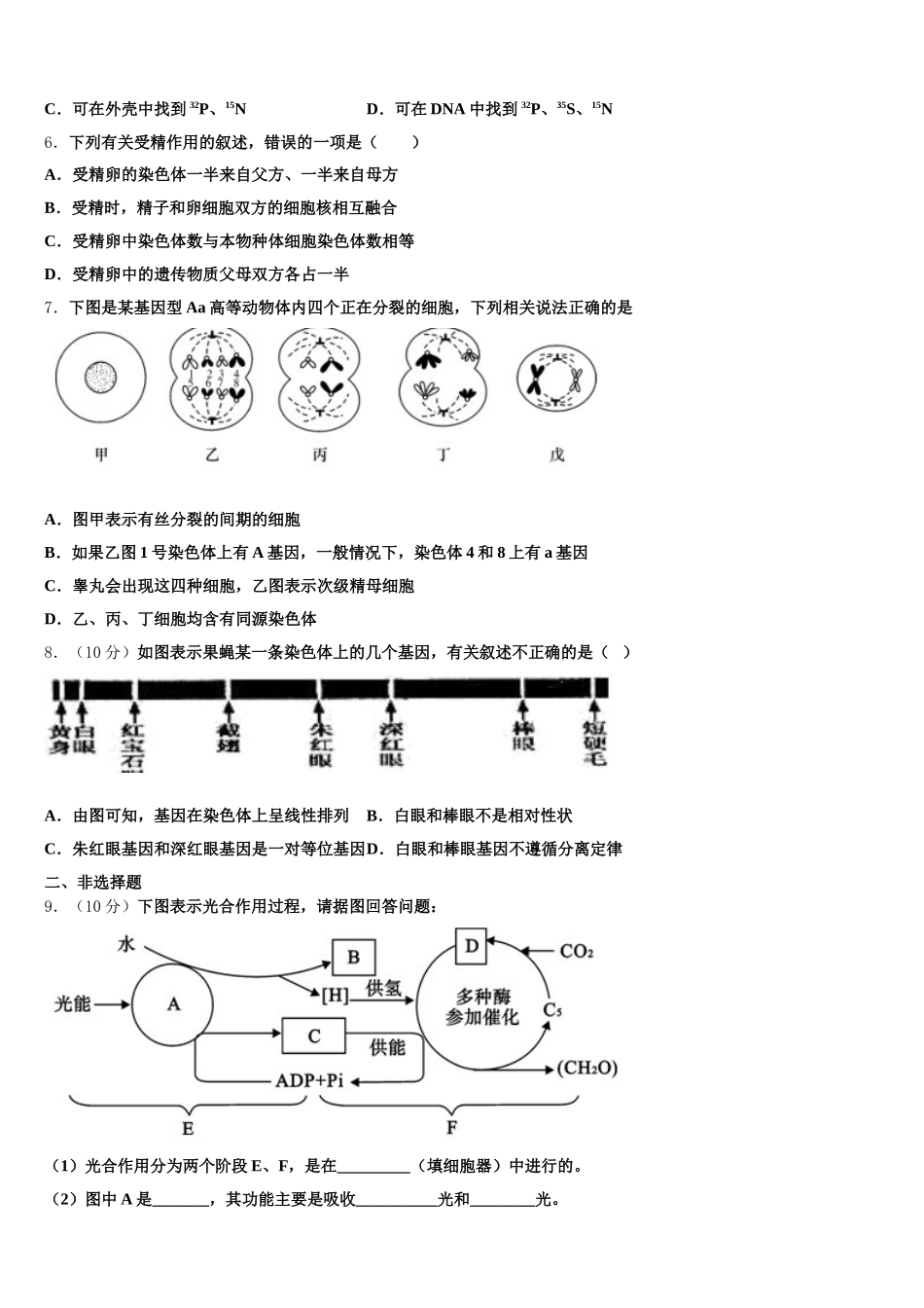 2025届广东省茂名市电白区生物高一下期末学业水平测试试题含解析_第2页