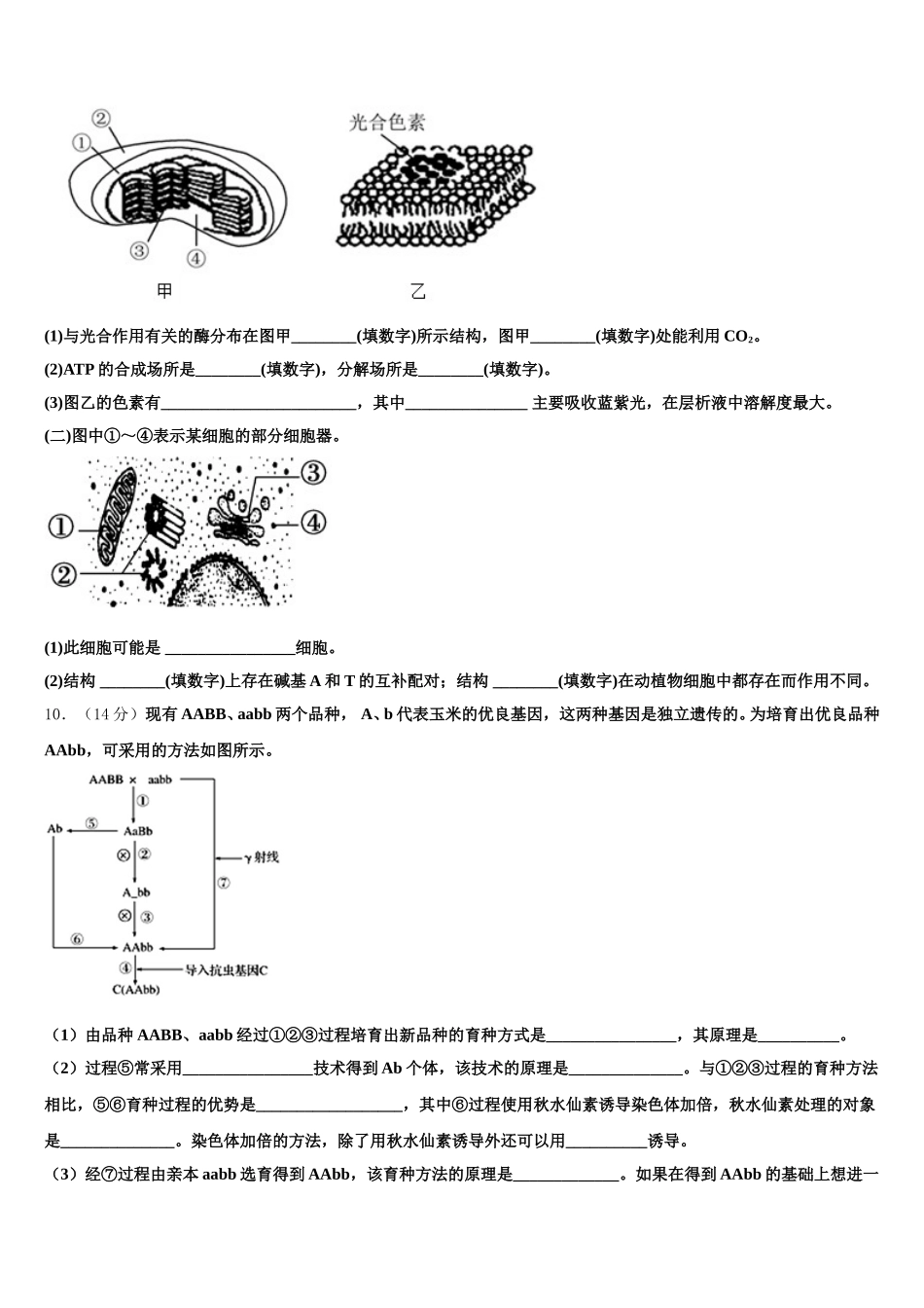 2025年广东省佛山市生物高一下期末监测模拟试题含解析_第3页