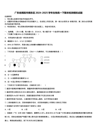 广东省揭阳市揭东区2024-2025学年生物高一下期末检测模拟试题含解析
