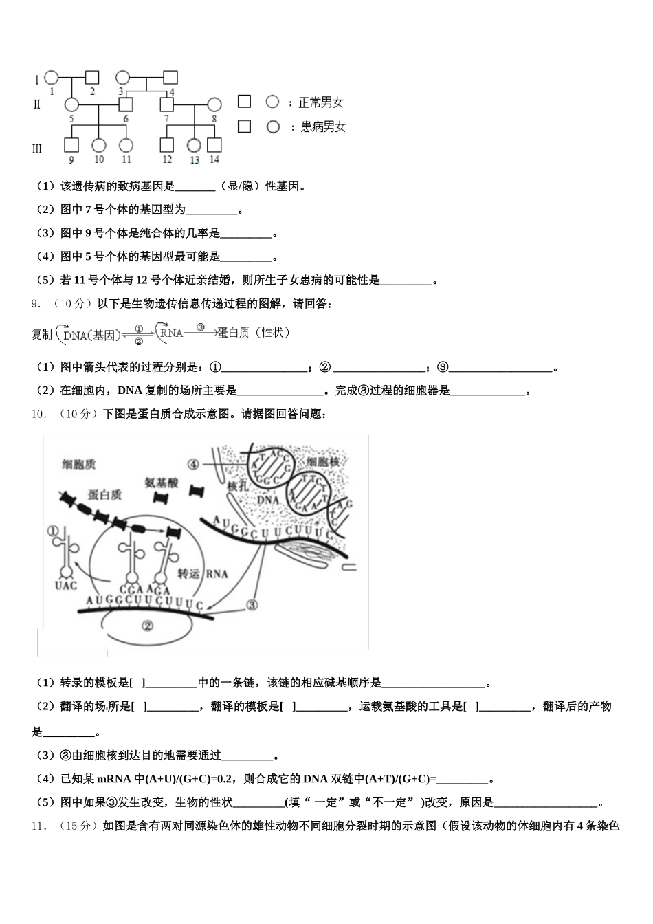 2024-2025学年广东省兴宁市一中生物高一下期末预测试题含解析_第3页