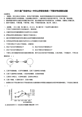 2025届广东省中山一中丰山学部生物高一下期末考试模拟试题含解析