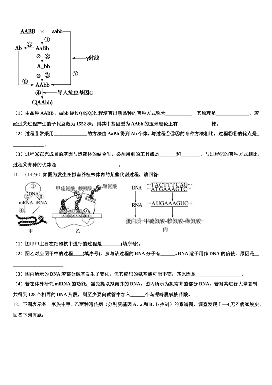 2024-2025学年湖南省江西省广东省名校高一生物第二学期期末复习检测试题含解析_第3页