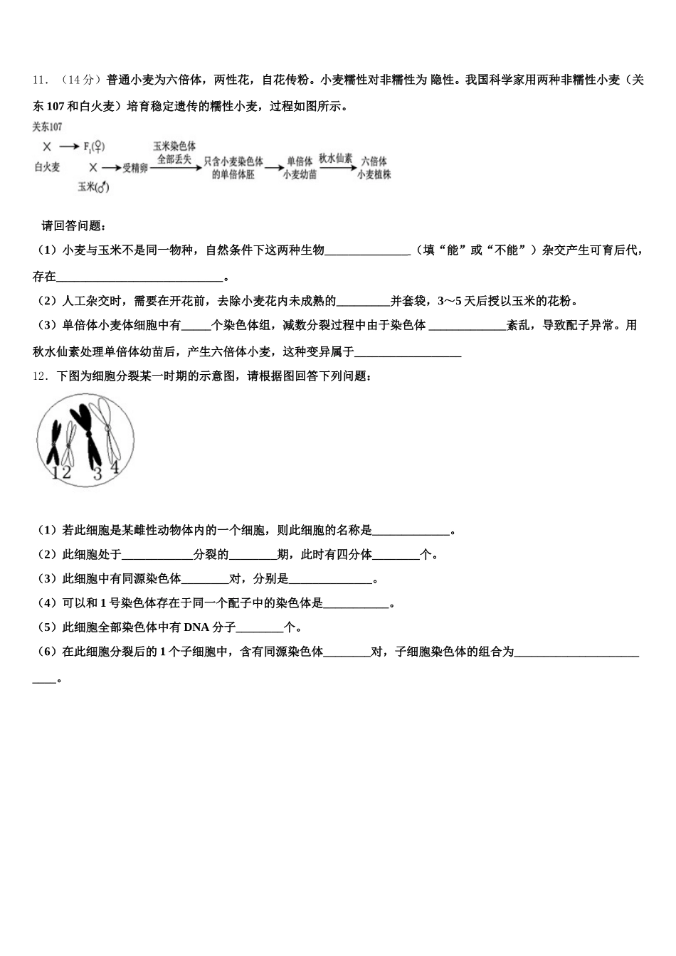 惠州市重点中学2024-2025学年高一下生物期末监测模拟试题含解析_第3页