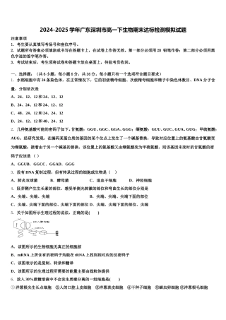 2024-2025学年广东深圳市高一下生物期末达标检测模拟试题含解析