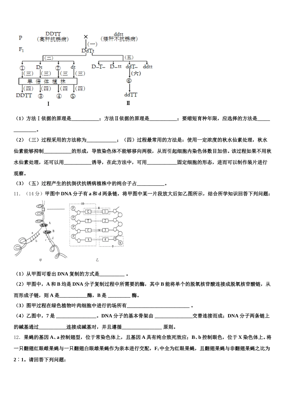 2025年惠州市实验中学生物高一第二学期期末教学质量检测模拟试题含解析_第3页