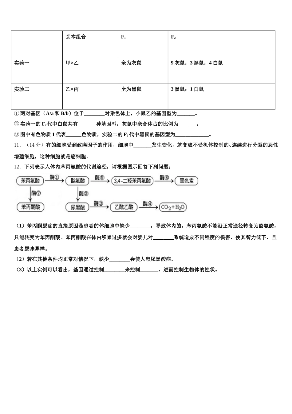 2024-2025学年广东省汕头市名校高一下生物期末联考试题含解析_第3页