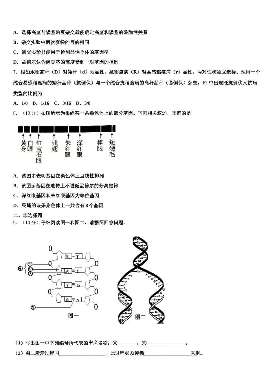 广东省广州市番禺区广东第二师范学院番禺附中2025届生物高一下期末达标测试试题含解析_第2页