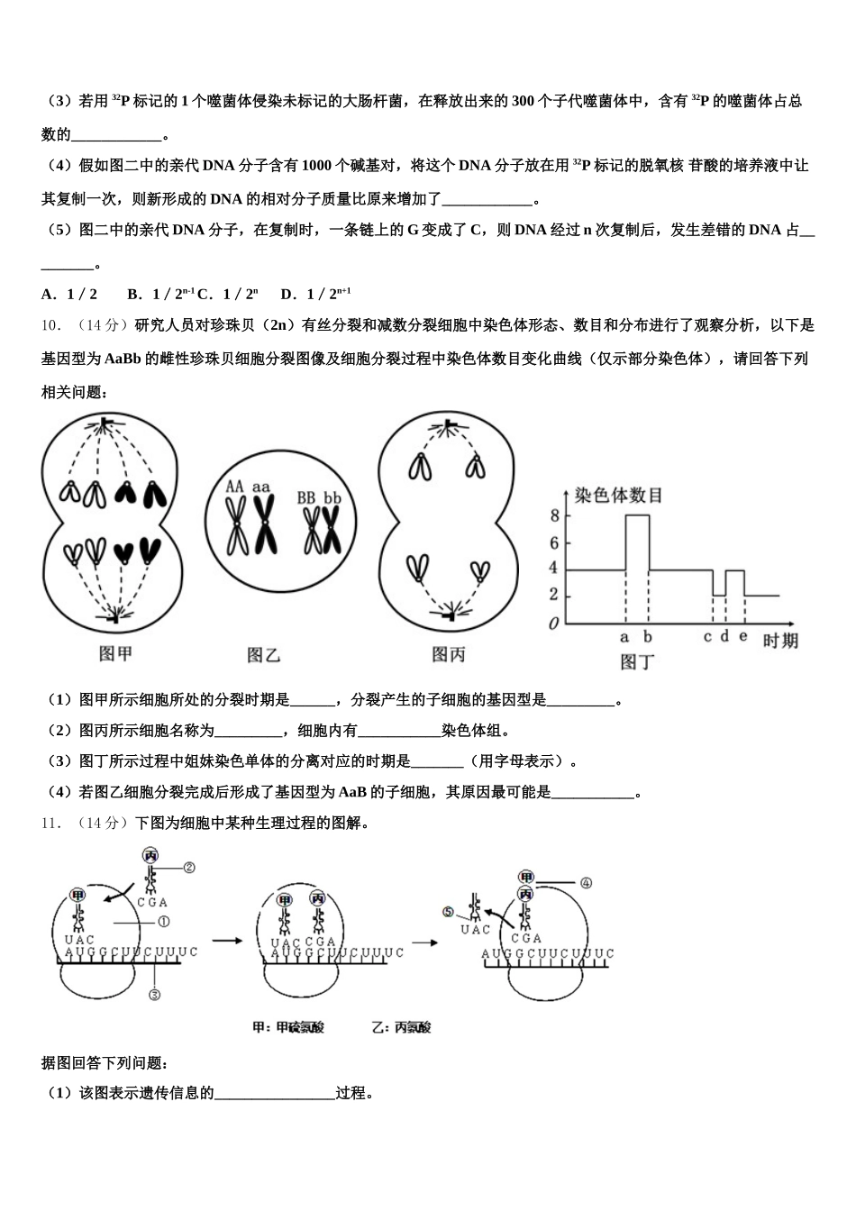 广东省广州市番禺区广东第二师范学院番禺附中2025届生物高一下期末达标测试试题含解析_第3页
