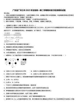 广东省广州三中2025年生物高一第二学期期末复习检测模拟试题含解析