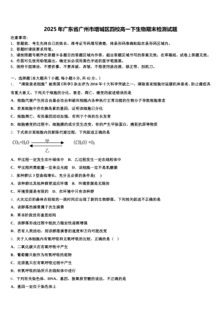2025年广东省广州市增城区四校高一下生物期末检测试题含解析