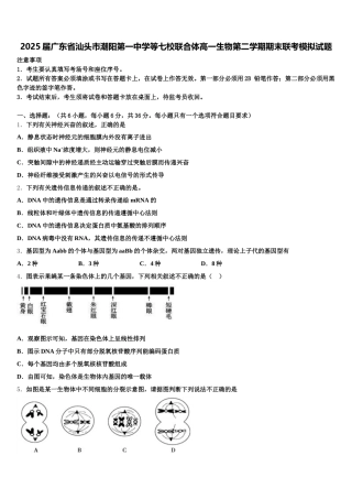 2025届广东省汕头市潮阳第一中学等七校联合体高一生物第二学期期末联考模拟试题含解析