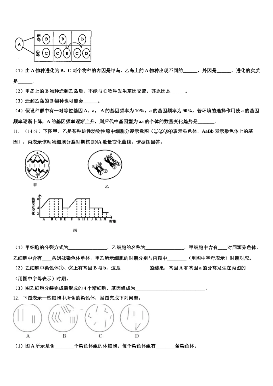 广东省普宁市新世界中英文学校2025届高一下生物期末综合测试试题含解析_第3页