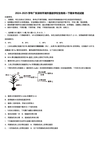 2024-2025学年广东深圳平湖外国语学校生物高一下期末考试试题含解析