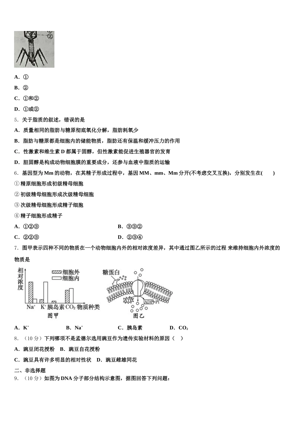 广东省深圳外国语学校2025届高一下生物期末质量跟踪监视试题含解析_第2页
