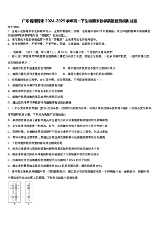广东省河源市2024-2025学年高一下生物期末教学质量检测模拟试题含解析